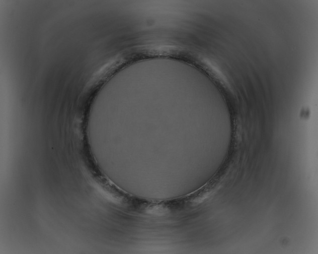 X0000092110258200710101149