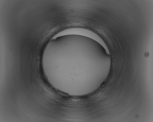 X0000092110260200710101149
