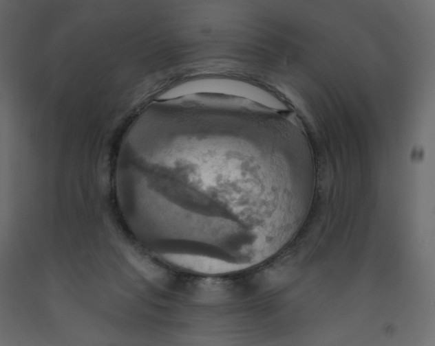 X0000092110261200710101149