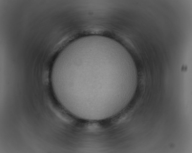X0000092110262200710101149