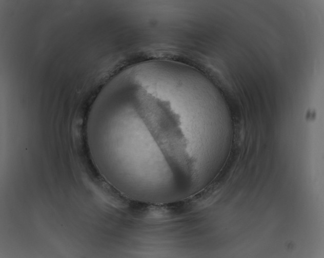 X0000092110263200710101149
