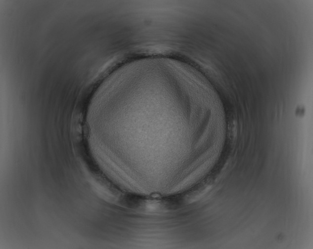 X0000092110264200710101149