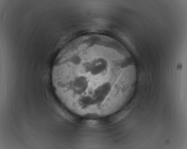 X0000092110265200710101149