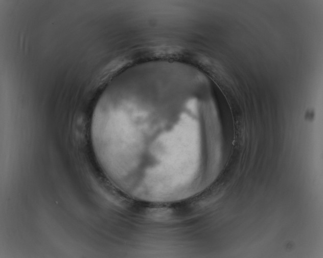 X0000092110266200710101149