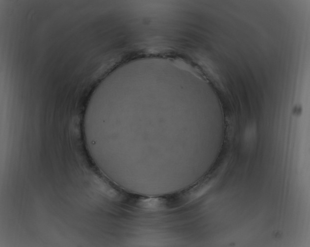 X0000092110269200710101149
