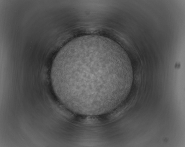 X0000092110270200710101149