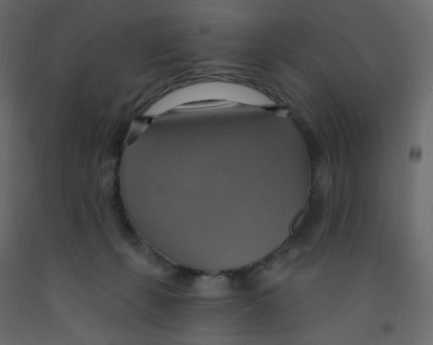 X0000092110271200710101149