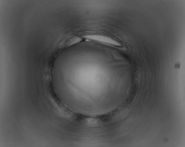 X0000092110272200710101149