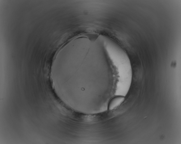 X0000092110273200710101149