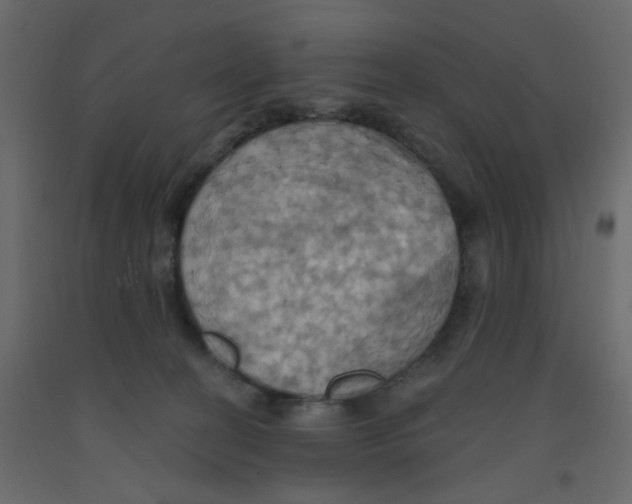 X0000092110274200710101149