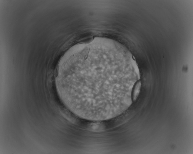 X0000092110275200710101149