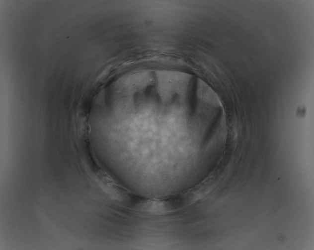 X0000092110276200710101149