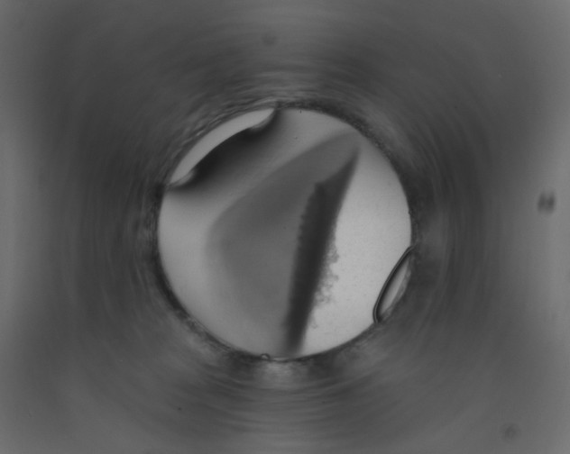 X0000092110277200710101149