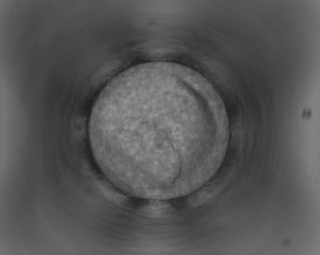 X0000092110278200710101149