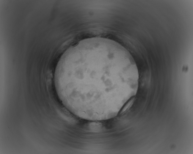 X0000092110279200710101149