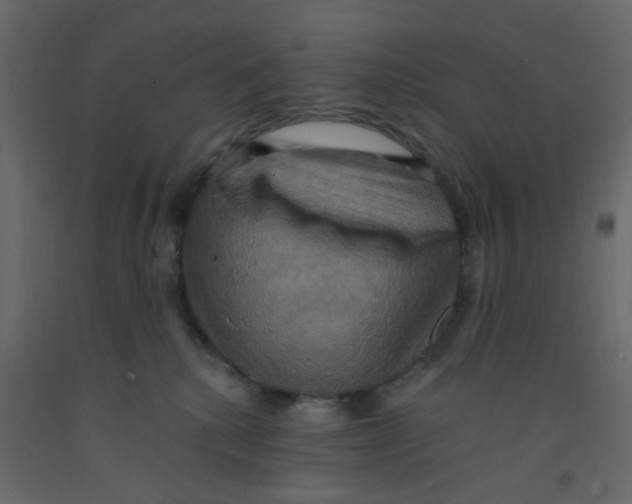X0000092110280200710101149