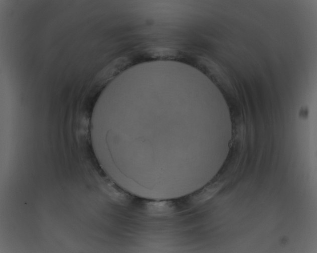 X0000092110281200710101149