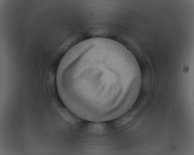 X0000092110282200710101149