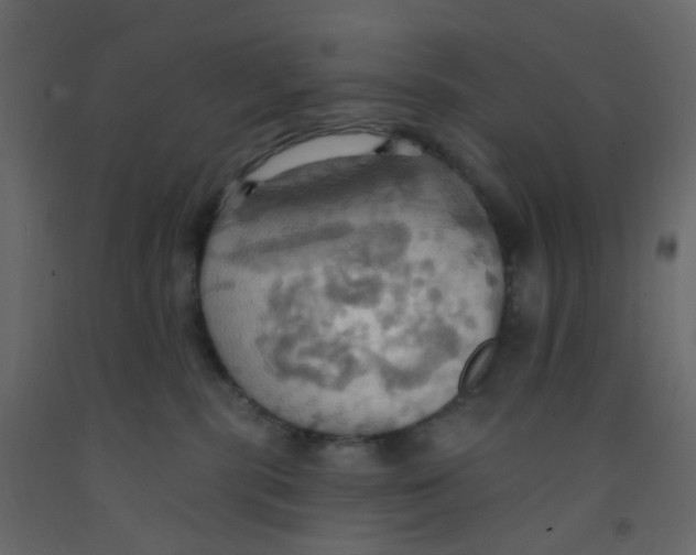 X0000092110283200710101149