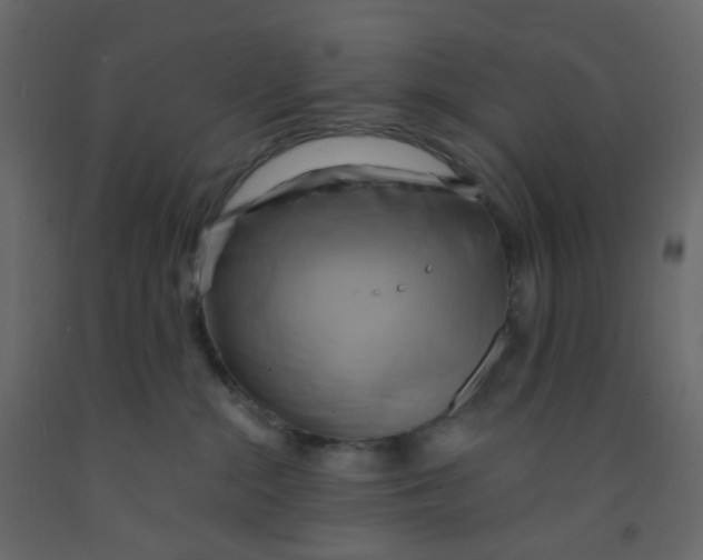 X0000092110284200710101149