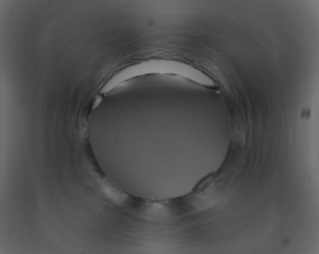 X0000092110285200710101149