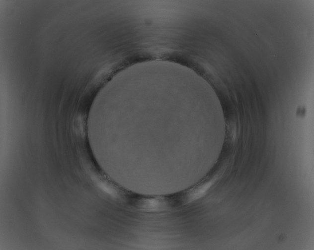 X0000092110286200710101149
