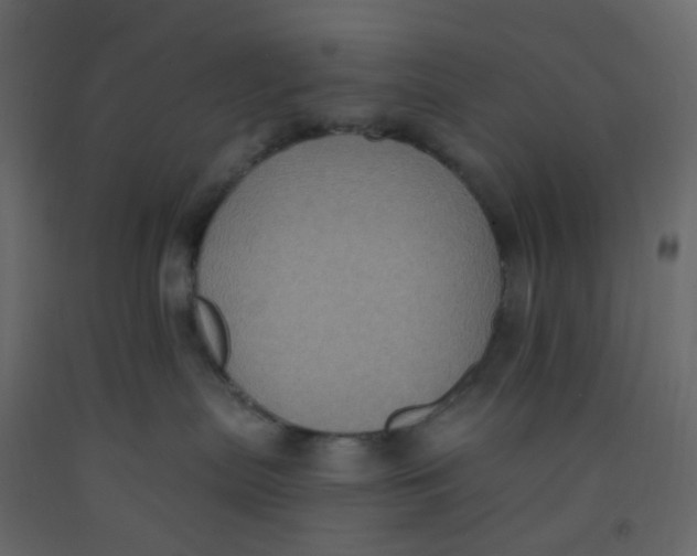 X0000092110287200710101149