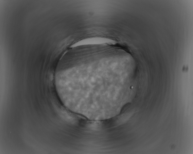 X0000092110288200710101150