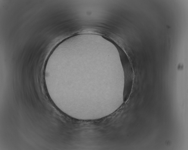X0000092110289200710101149