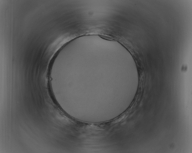 X0000092110290200710101149