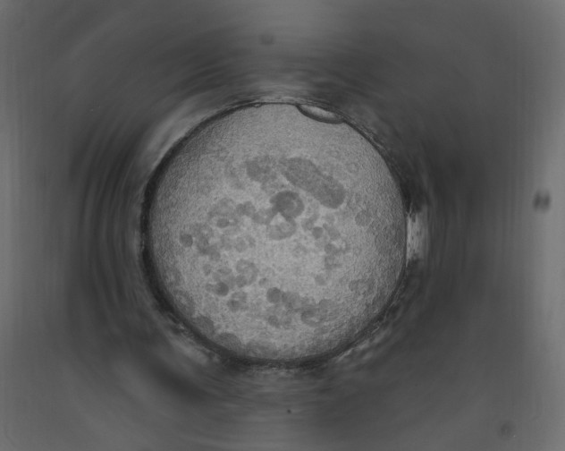 X0000092110291200710101149
