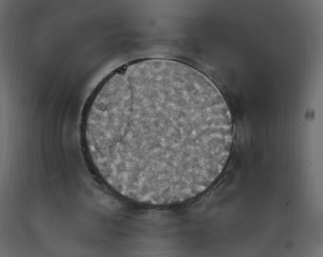 X0000092110292200710101149