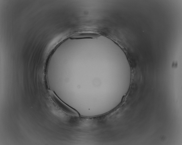 X0000092110293200710101149