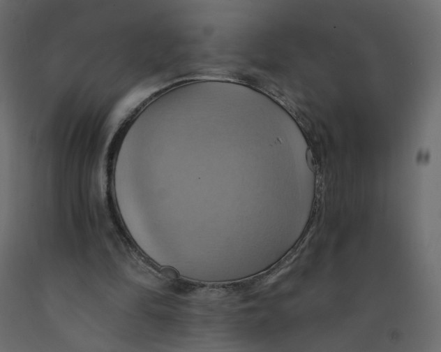 X0000092110294200710101149