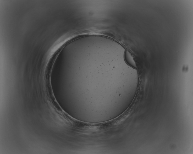 X0000092110295200710101149