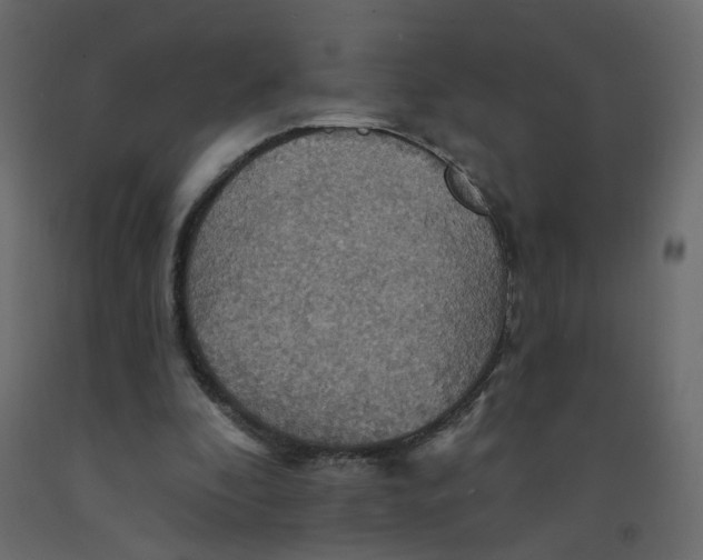 X0000092110296200710101149
