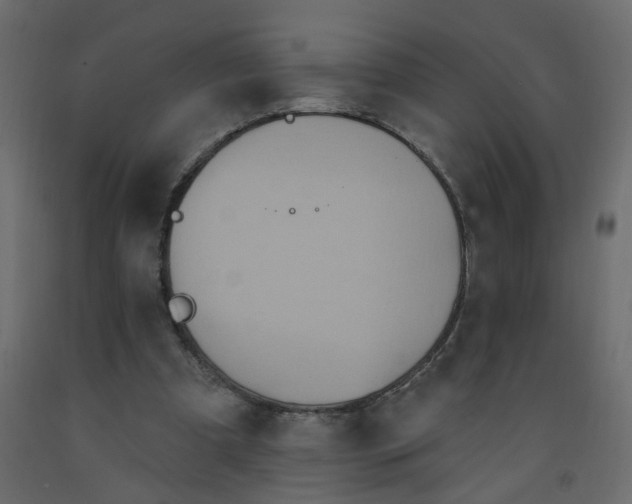 X0000092110297200710101149