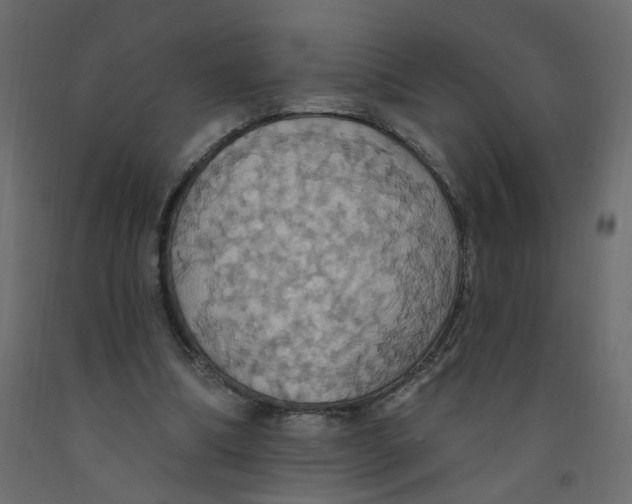 X0000092110298200710101149