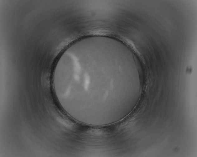 X0000092110299200710101149