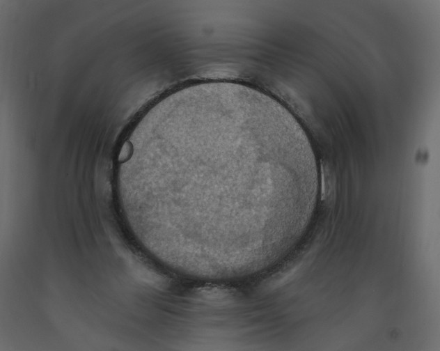 X0000092110300200710101149