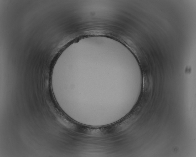 X0000092110301200710101149