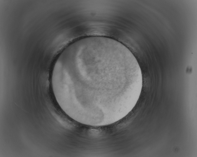 X0000092110302200710101149