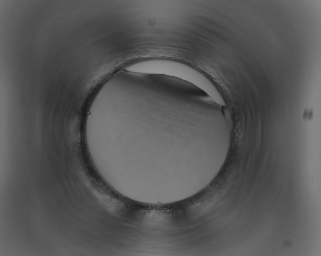X0000092110303200710101149