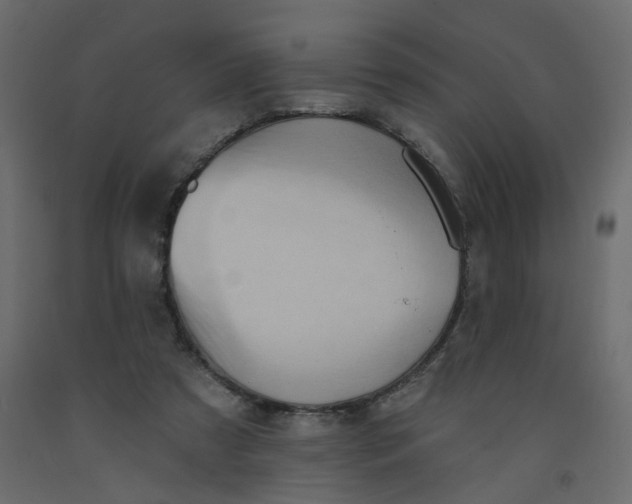 X0000092110305200710101149