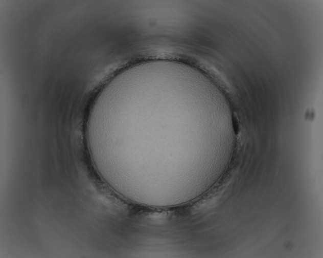 X0000092110306200710101149