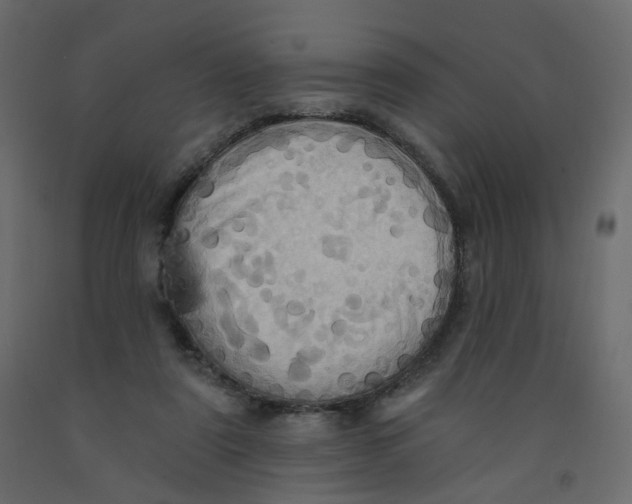 X0000092110307200710101149