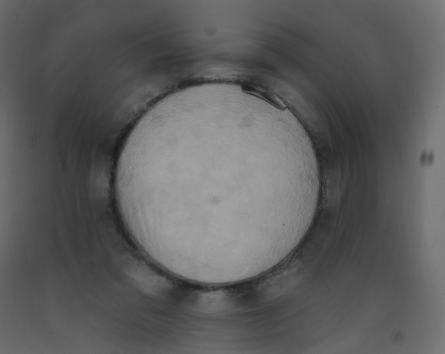 X0000092110309200710101148