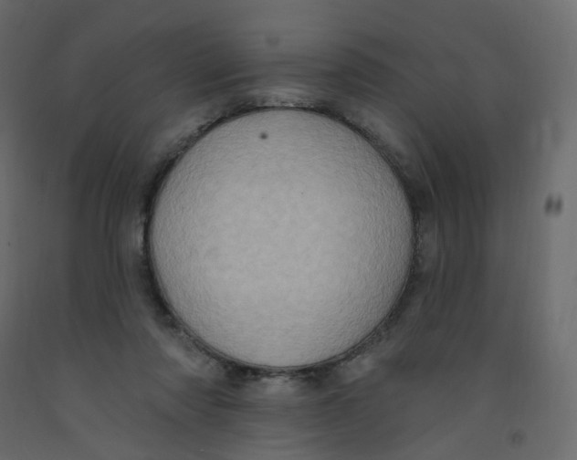 X0000092110310200710101148