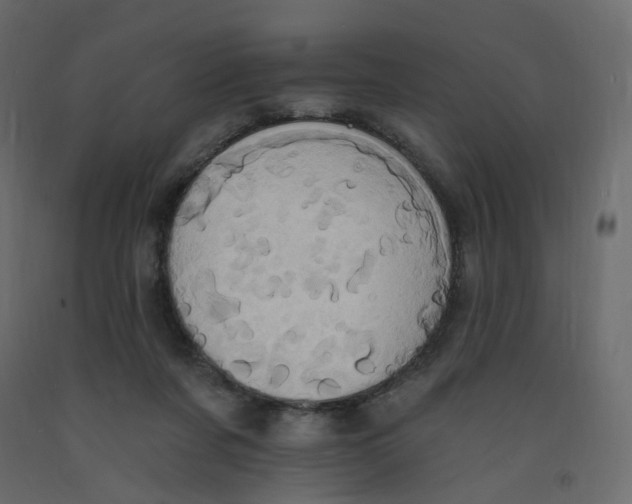 X0000092110311200710101148