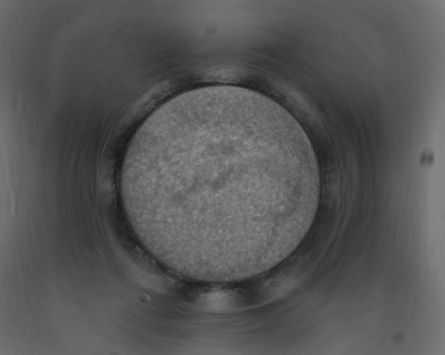 X0000092110312200710101148